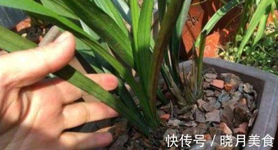 养花土不会消毒,教你3招常用土壤消毒小技巧,快试试吧