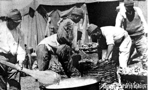 丛林|日军擅长丛林和海岛作战，为何在新几内亚岛输的一败涂地