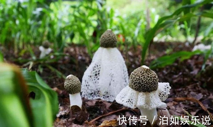 营养物质|女性想要保持年轻,坚持常吃以下食物,养血理气,减肥瘦身