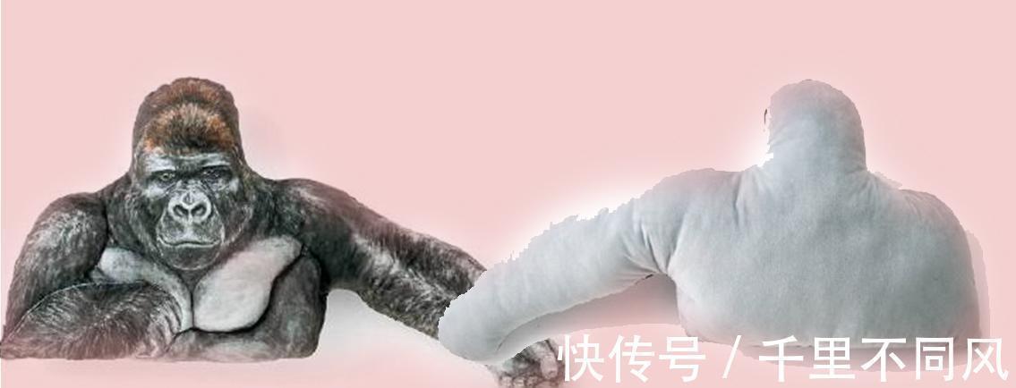 手机壳|前有“玉女手机壳”现有“猩猩手臂抱枕”,晚上睡觉比男友还可靠