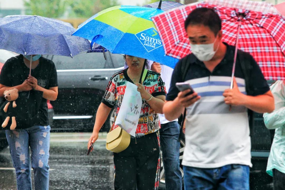 张氏帅府博物馆|暴雨来了！故宫帅府闭馆！多处高速收费站禁入