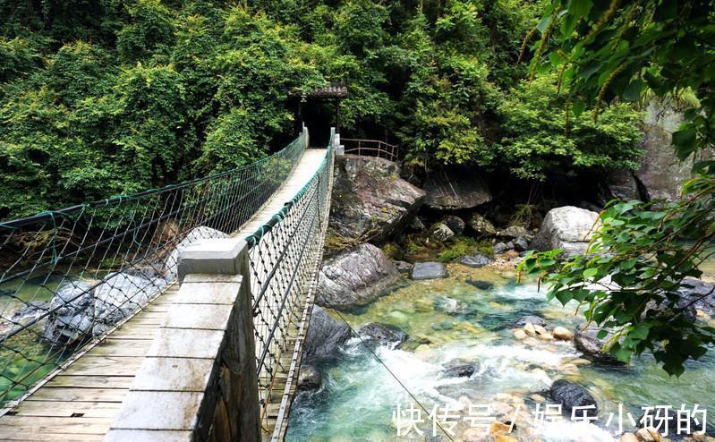 景区|池州一冷门自然景区，植物茂密富含生机，四季皆美，知道的人却少