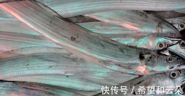 买带鱼时,要分清“黄眼”和“白眼”,差距挺大,弄懂再买不吃亏!