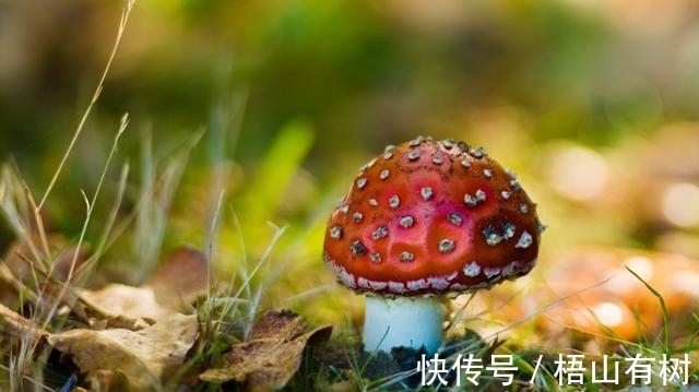 财富|下周运势逆转，财富在上新台阶，“钱”途无量！