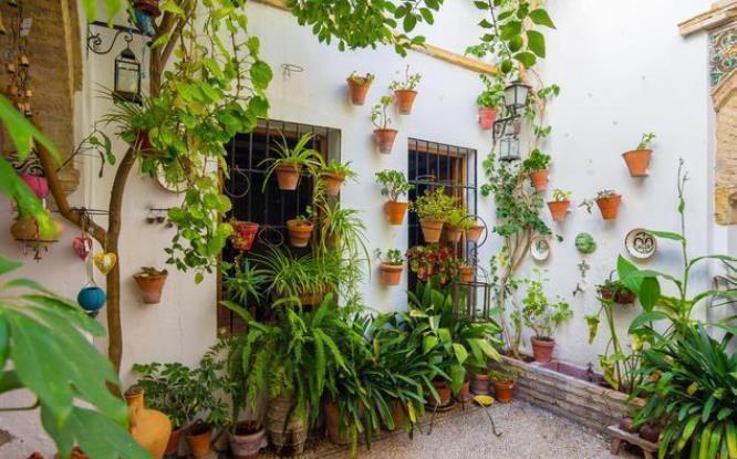 潮湿|住一楼带院子的户型，做好5件事，轻松赶走潮湿