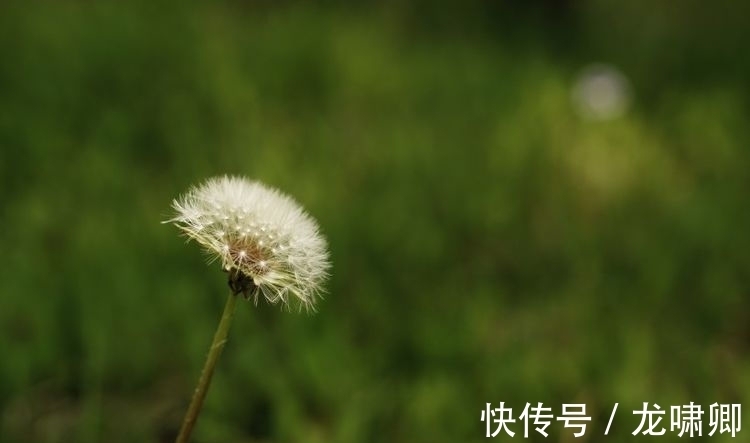 苦尽甘来|8月6日-8月29日，苦尽甘来，迎来好日子，越来越有钱3生肖