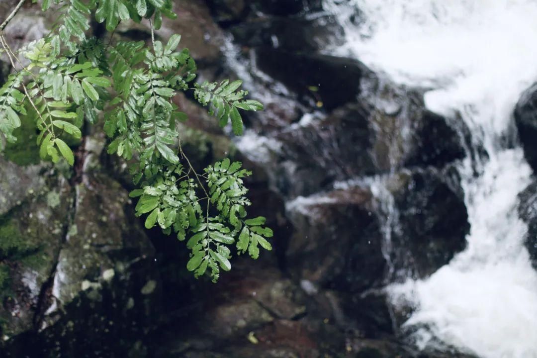 天青色等烟雨，宁波美到你！