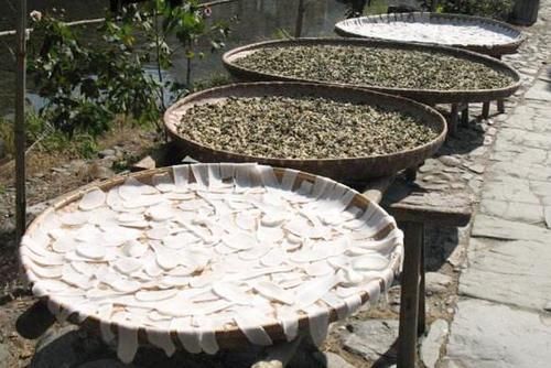 这5种晒干后更香的蔬菜,留着冬天炖肉吃,放一年也不坏