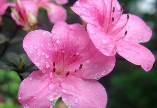 生肖|不爱化妆的3位生肖女,总以素颜淡妆示人,却显得优雅大方