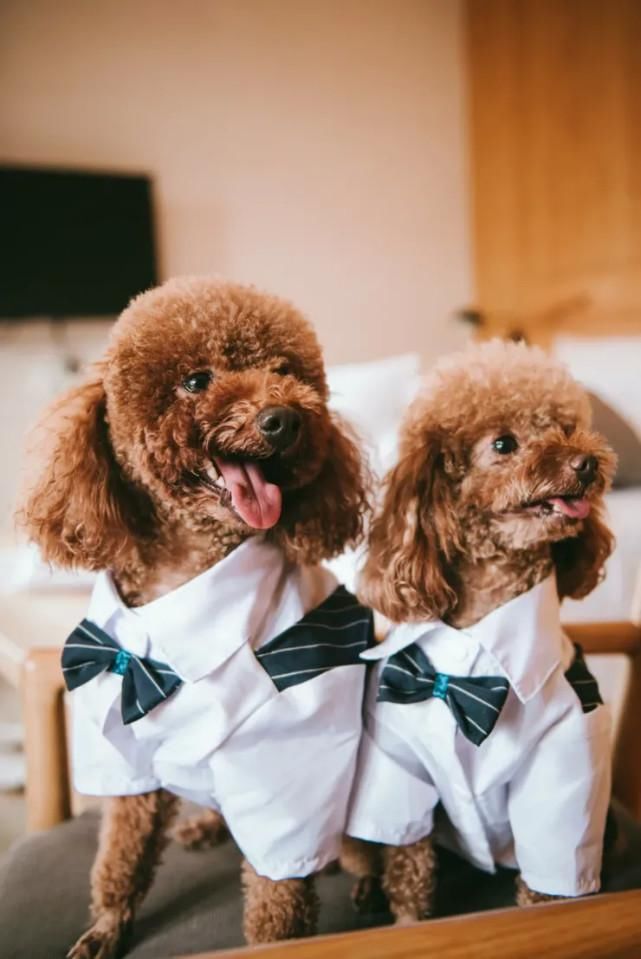 想要婚礼当天拍照自然，就来看看这份指南吧！