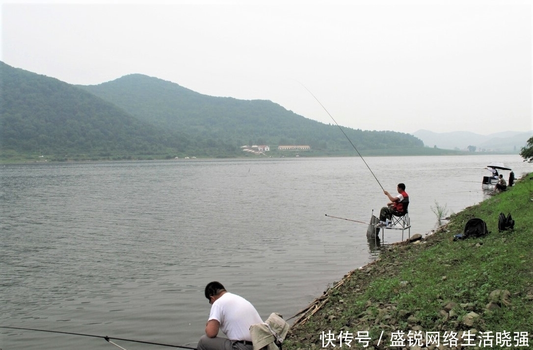 有鱼吃饵,扬竿却不中鱼,做好这些细节,精准抓口鱼难逃