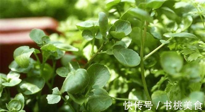 益脑|女性不想老太快,常吃以下食物,排毒护肝,保护血管,美味又健康