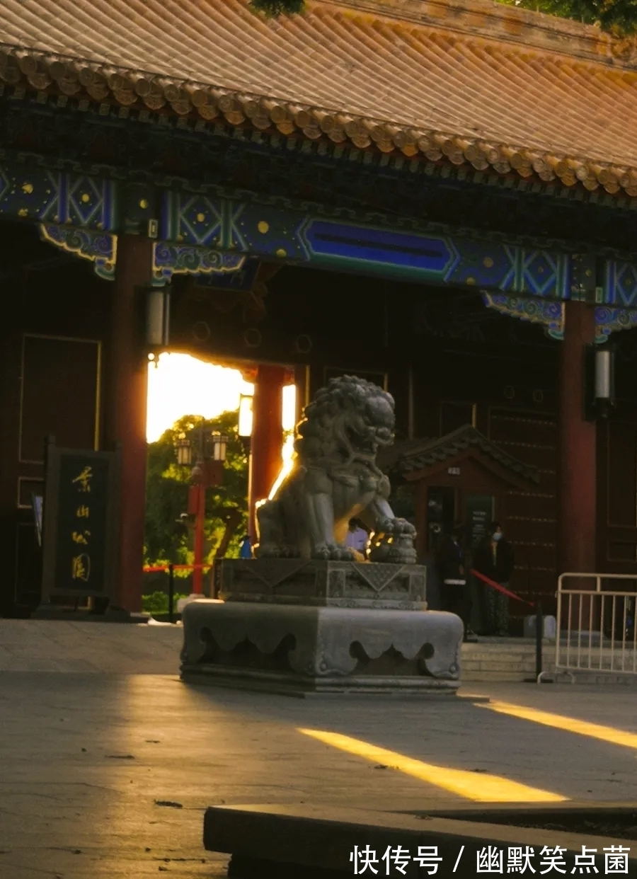 普通话|方言,正在死亡