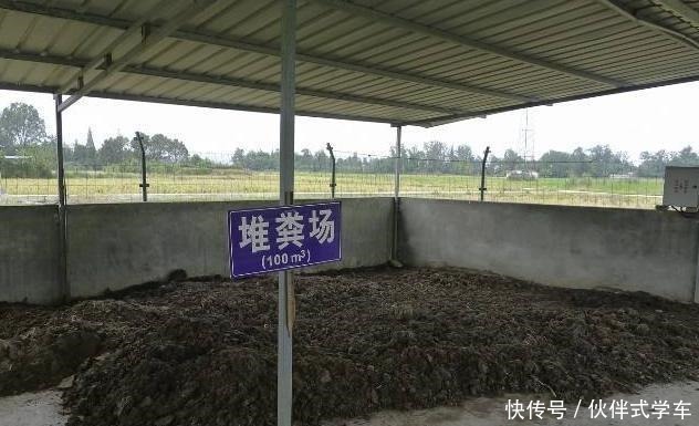 王大伯养花不施肥,反而给花吃“农作物”吃完植株蹭蹭长!