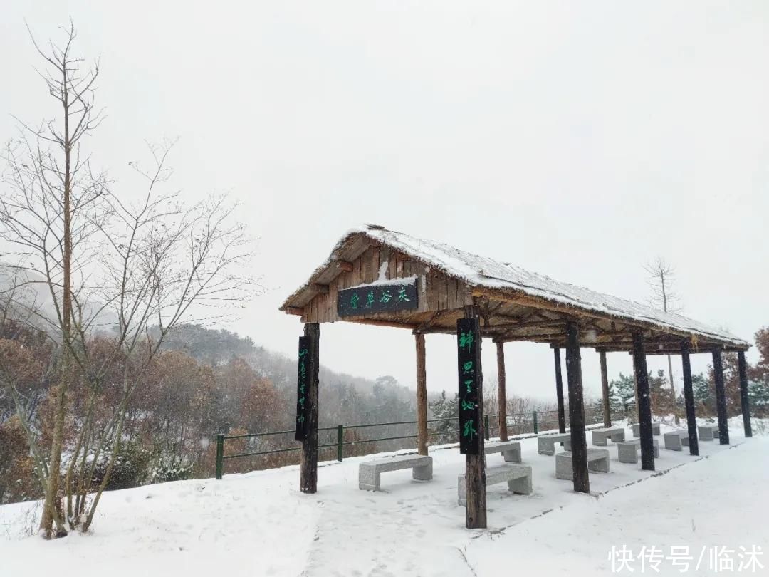 心动的感jio !！临沭绝美雪景大片，如诗如画