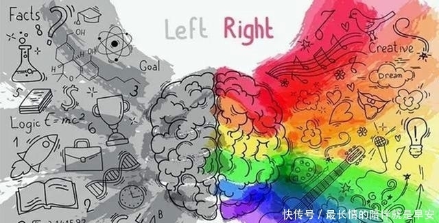 哈佛研究：儿童大脑发育高峰期有两次，请务必帮孩子抓住机会！