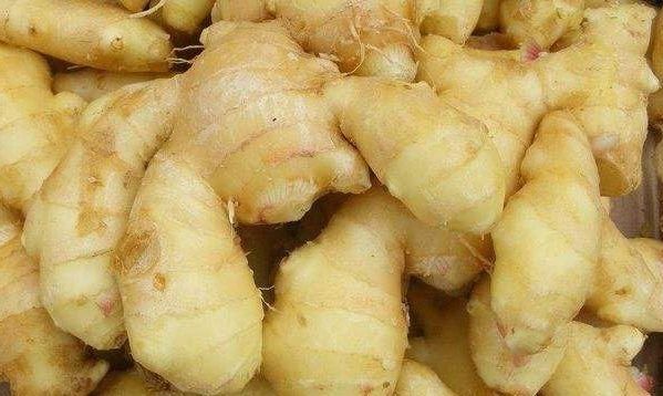 生姜|晚上睡覺前,把生姜涂抹在腳底下,堅(jiān)持15天,許多好處不請(qǐng)自來(lái)