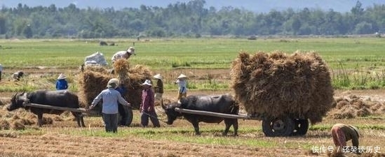 刘姥姥|10两银子能干啥？清朝能买一亩良田，民国能买一辆车，现在呢？