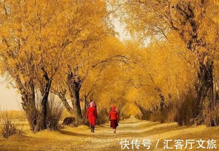 维族|这条“南疆大环线”都没走过？怎么好意思说到过新疆！