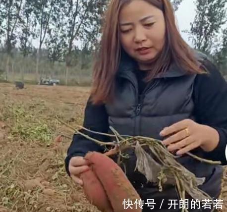 当事人|许敏查找真相只为流量杜新枝用实际行动否定这种说法