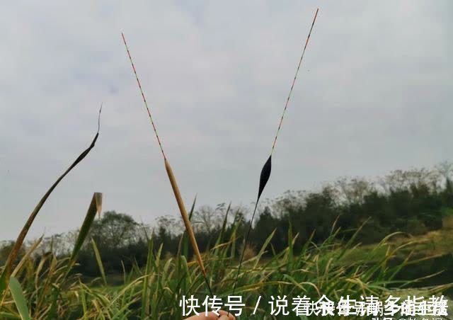 渔具|别拿野钓装备去玩黑坑，新手入坑须知：先得把这些渔具买齐了