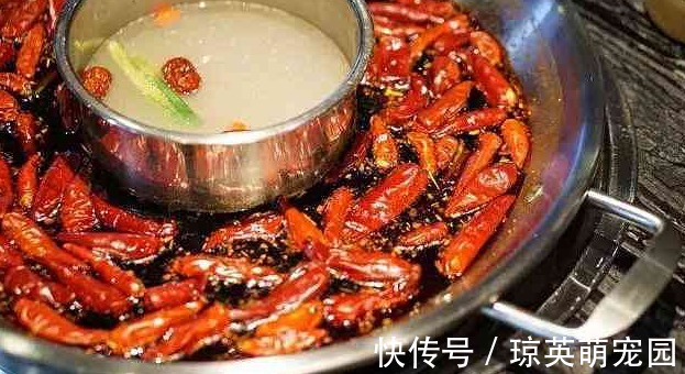 蒲公英|胃癌多是自己“养”起来的,专家忠言:5种食物,还是少碰为好