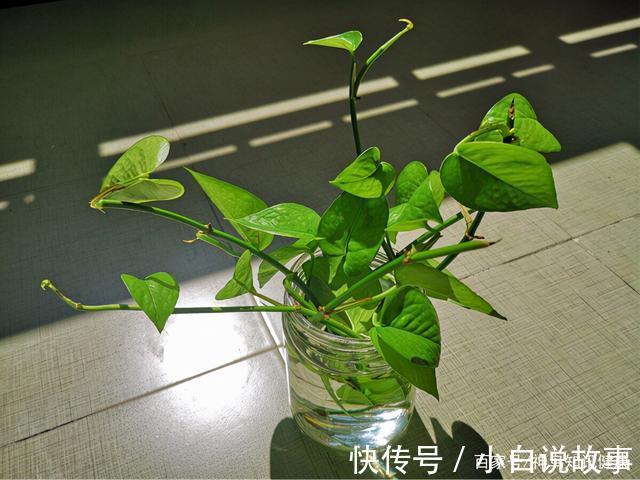 防护|医者不自医专家患癌三年没有复发,关于肺癌防护,他有话要说