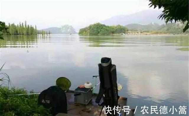 草鱼|秋季钓草鱼“爆护”秘诀,用微酸窝料打窝,用活食做钓饵