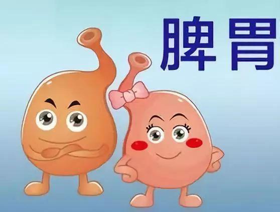 腹部|湿气重的人,身体3处是“圆”的,如果你也有,尽早祛湿