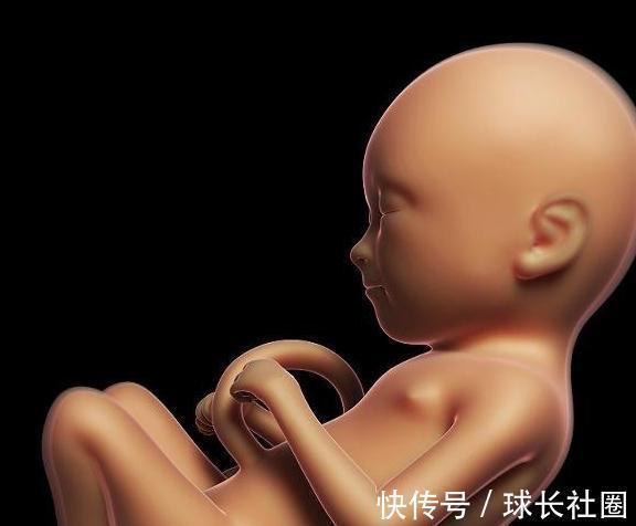 神经细胞|胎儿在妈妈子宫内待10个月,智力发育却只在3周,妈妈可别错过