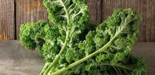 苦瓜|对身体不错的三种食物，排毒养颜、滋润肌肤，爱吃就赚了！