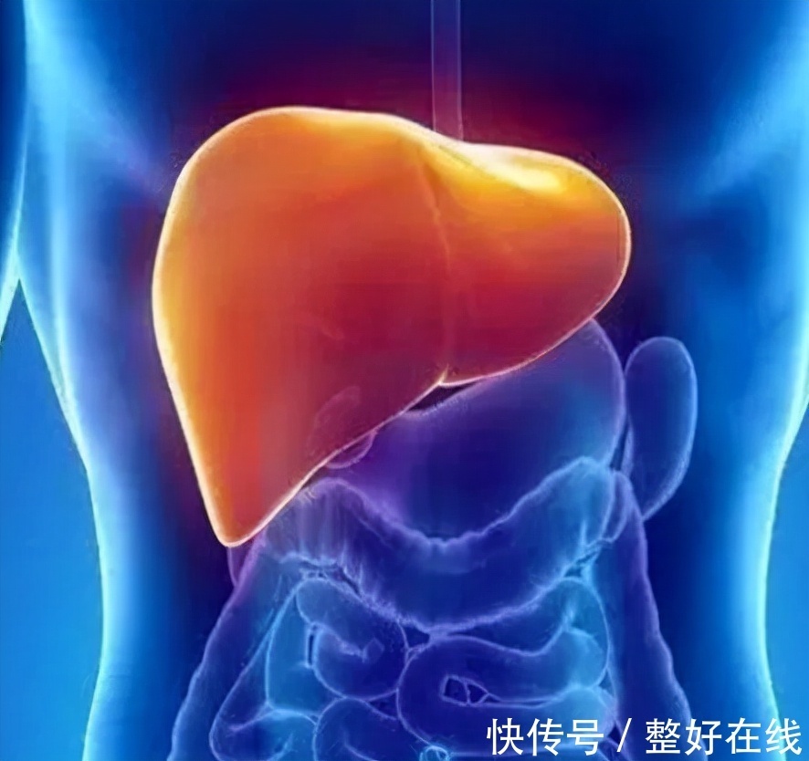 治疗|从乙肝到肝硬化到底需要多久?专家提醒:4种方法可预防肝硬化