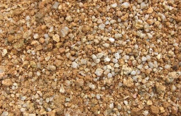 “大法师”容易掉叶、不生长，教你“3招秘诀”，再也不担心了