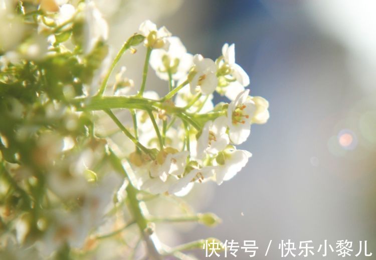 虎年|虎年比牛年更富,赚钱数字有增无减,生活不再有苦难言的生肖