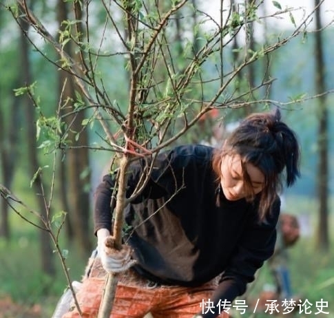 黄雅莉|咖位越低干活越扎实？《向往5》迎来了10位嘉宾，把整块地开荒了