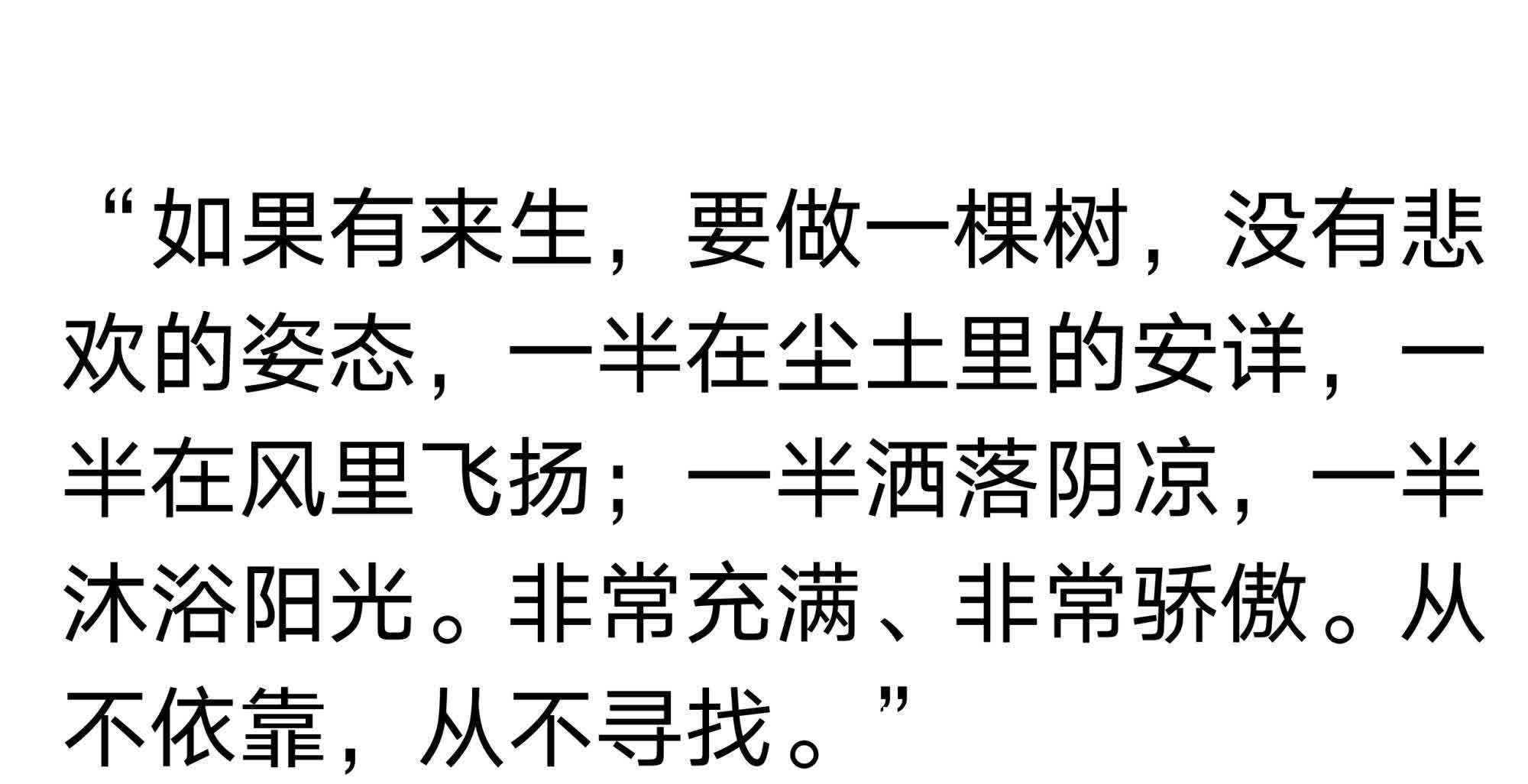 蓼茸蒿笋|三毛最美的八句话,说透了人生,读懂了受益匪浅