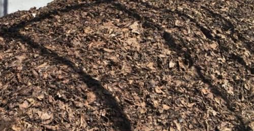 养花土用此2样，想效果好就得抓住这些“处理重点”