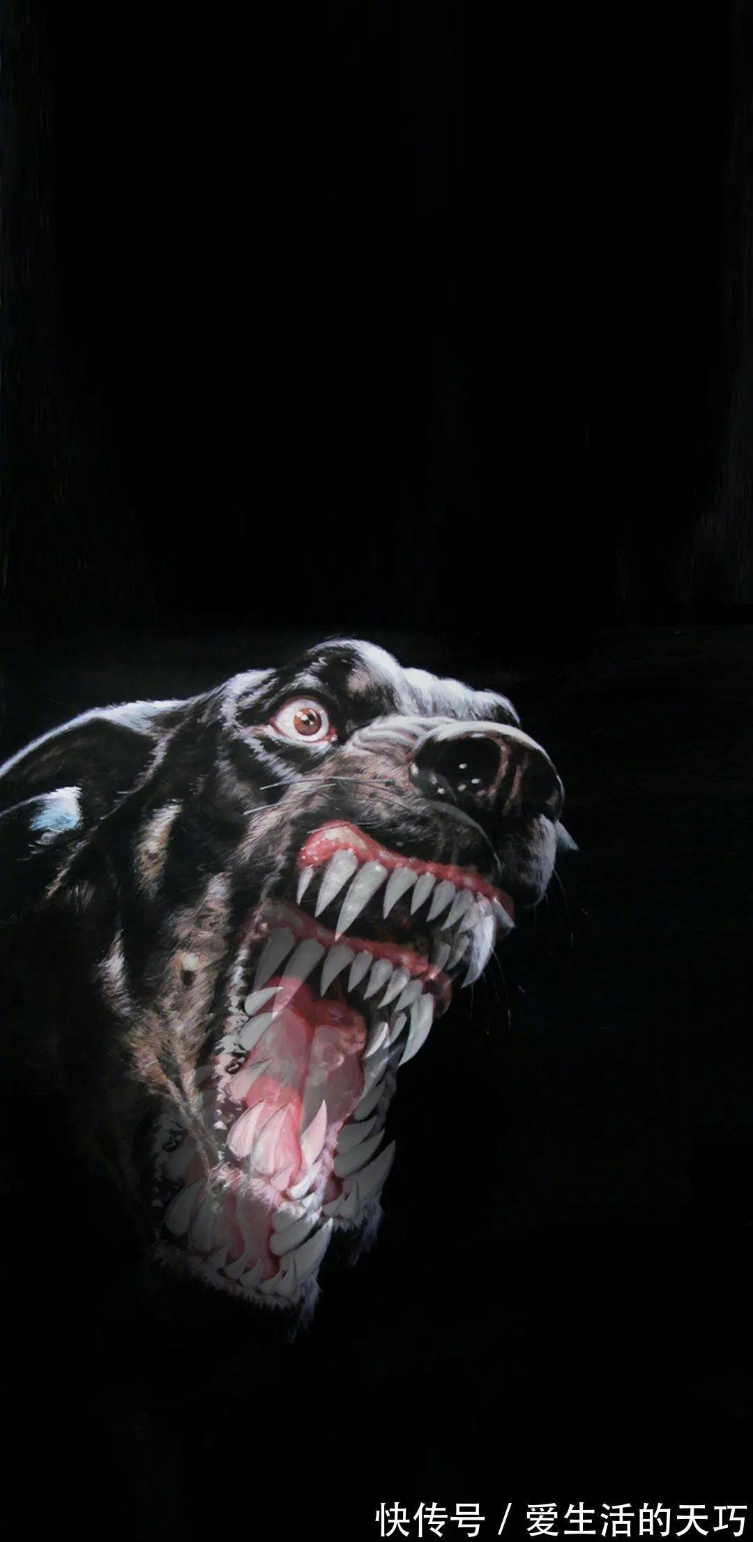 花解语|2172手机壁纸|温柔扑了个空才长记性