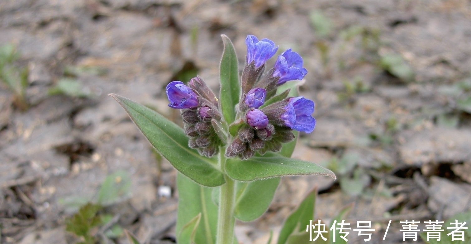 爱情|9月，爱情散场，遗憾又如何，3生肖不再执着，重重拿起，轻轻放下