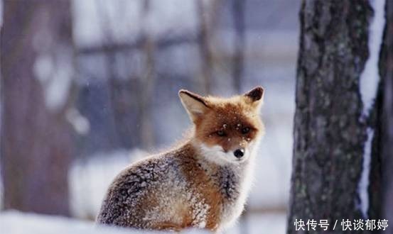 华人|孩子的婚姻质量,是检验家庭教育的终极标准