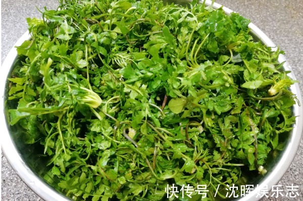 开春该吃啥这野菜包饺子正适合,清香可口味道好,鲜得忘不了