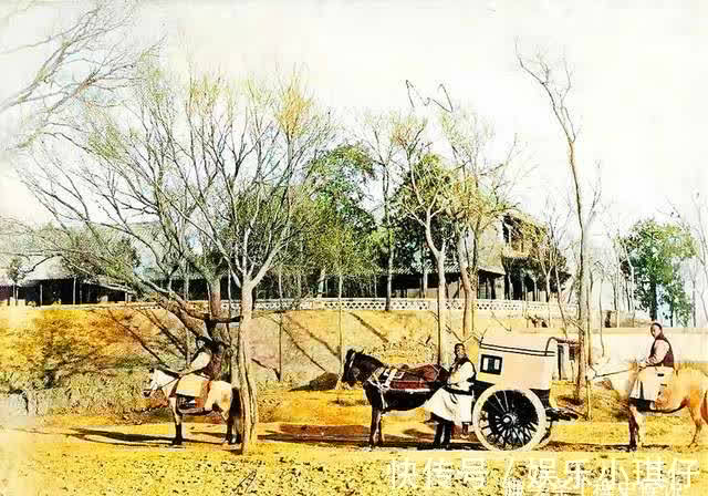 马六!清代奇案:老父被害,落下两个果子,知县慧眼擒凶,破解离奇命案