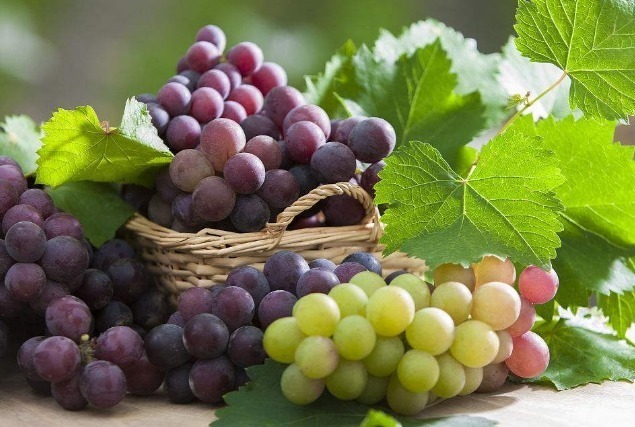 生物素|提个醒吃过葡萄一小时内不可碰此种食物,对自身健康不利