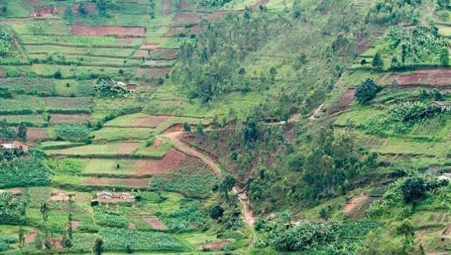 全世界最自由的国家，为何没有人去旅游游客不敢去