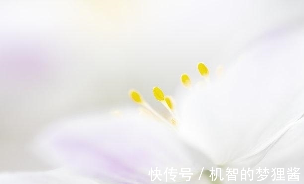 属兔|还有一周，桃花如雨，祈求原谅，旧爱回头，重拾过往，幸福相伴