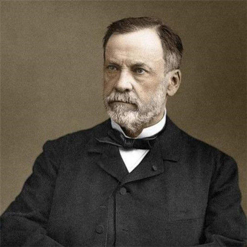 办法|没有狂犬疫苗的古代，遇到被狗咬伤怎么办，看古人办法