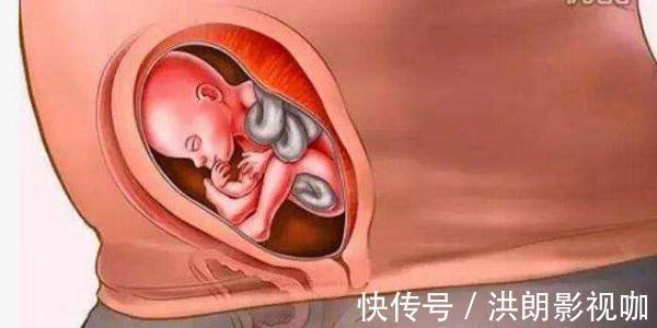 过程|怀胎十月到底是什么样的，十张图带你看孕育过程，生而为人须了解