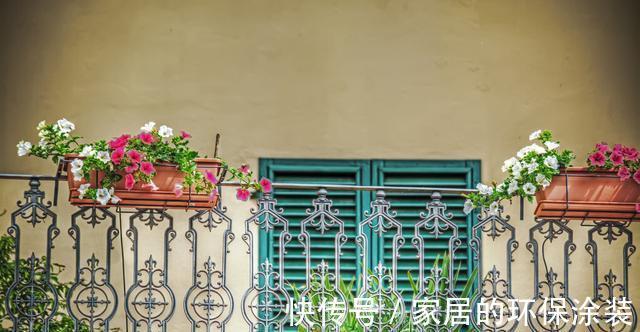 淋雨|下雨天，勤快些，把这些花搬到室外去，多淋雨，生长旺盛，开花多