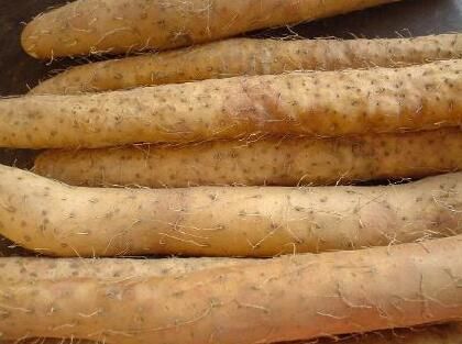  养胃|胃不舒服多吃这3种食物，可以起到养胃效果！