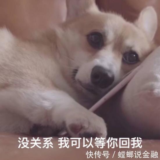 服务器|不符合这五条“金标准”的欧拉,不会是华为的备胎